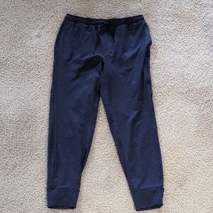 Outerknown Athletic Pants
